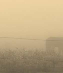 Halloween Short Stories: The Pooka