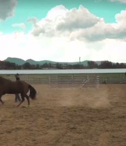 Lighthoof Video: Double Dan Blooper Reel