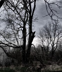 Halloween Short Story: Two True Tales