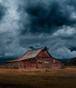 Halloween Short Story: The Coven