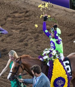 Standing Ovation by Ovation Riding: The Breeders’ Cup Pledge