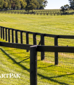 SmartPak Monday Morning Feed: Ask the Vet, November Edition