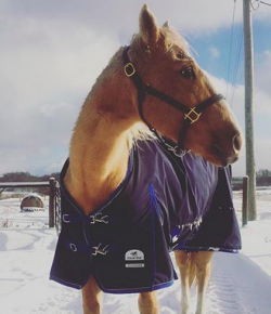 Blanket Hacks for DIY Warriors, Presented by Draper Therapies