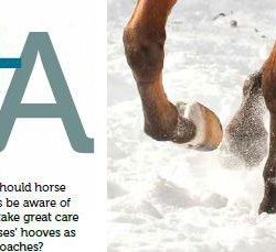 SmartPak Monday Morning Feed: Winter Hoof Care