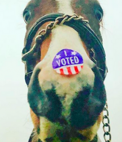 #goriding ‘Grams of the Week