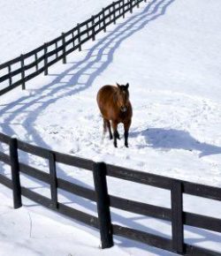 KY Performance Products: How Cold Is ‘Cold?’