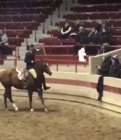 ‘Oh Crap’ Monday