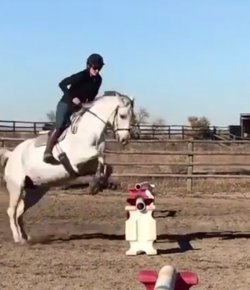 Lighthoof Video: No-Stirrups Challenge Accepted