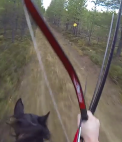 World Equestrian Brands Helmet Cam: Archery