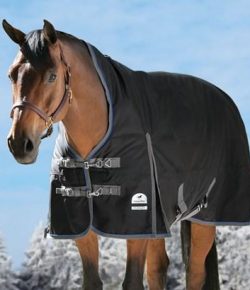 SmartPak Monday Morning Feed: Last Day For Black Friday Savings!