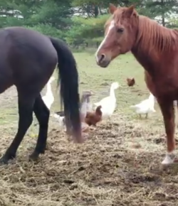 ‘Oh Crap’ Monday