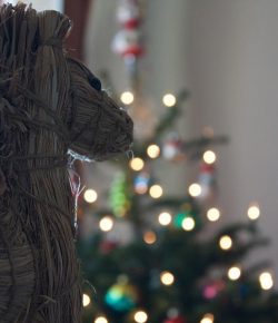 Horse Nation Shares: The Weirdest Holiday Gifts of All Time