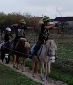 Total Saddle Fit Tuesday Video: Mini Archers