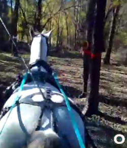 World Equestrian Brands HelmCam: Drive Me Crazy