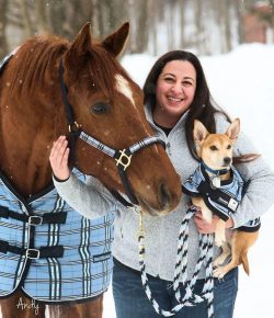 Photo Challenge: 6 Matchy-Matchy Well-Dressed Horses & Dogs