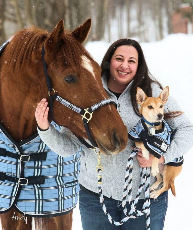 Photo Challenge 6 MatchyMatchy WellDressed Horses & Dogs HORSE NATION