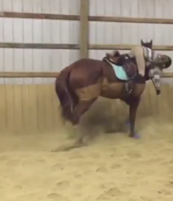 ‘Oh Crap’ Monday