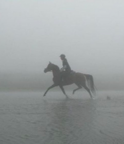 #goriding ‘Grams of the Week