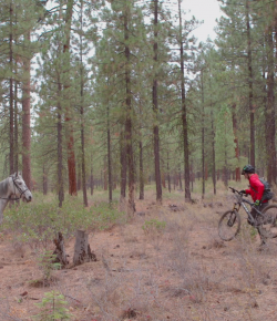 Lighthoof Video: Share the Trails