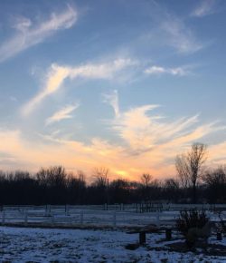 Photo Challenge: 5 Winter Barnscapes