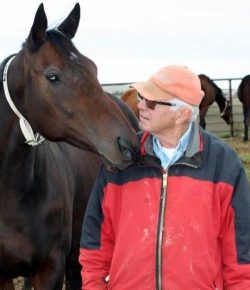 Standing Ovation by Ovation Riding: Bowman Second Chance Thoroughbred Adoption