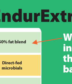 Kentucky Performance Products: What’s Inside the Bag? EndurExtra