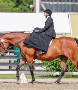 SmartPak Monday Morning Feed: 7 Steps to Sidesaddle Success