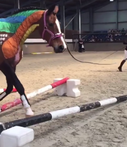 Total Saddle Fit Tuesday Video: Muscle Up