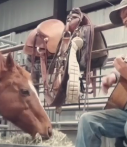 Lighthoof Video: Singing the Abscess Blues