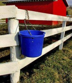 Kentucky Performance Products: 5 Easy Steps to Set Up a Good Feeding Program