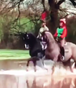 Lighthoof Christmas Day Video