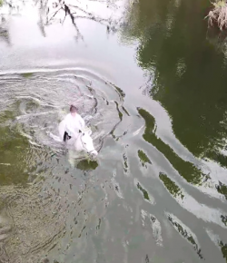 World Equestrian Brands Drone Cam: Splish Splash