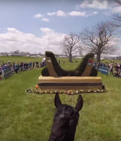 2018 Readers’ Choice Awards: World Equestrian Brands Helmet Cam of the Year