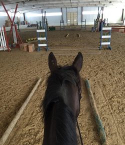 SmartPak Monday Morning Feed: 4 Ways to Make Winter Riding More Fun