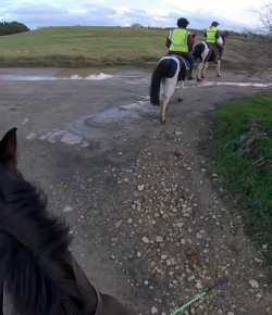 World Equestrian Brand Helmet Cam: A Good Lad