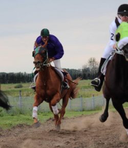 Standing Ovation by Ovation Riding: Riding Through Barriers