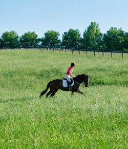 Standing Ovation by Ovation Riding: The Give Back to Go Scholarship
