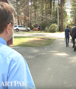 SmartPak Monday Morning Feed: Ask the Vet, Joint Health Awareness Month Edition