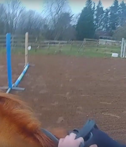 World Equestrian Brands Helmet Cam: Try, Try Again