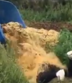 Kentucky Performance Products ‘Oh Crap’ Monday