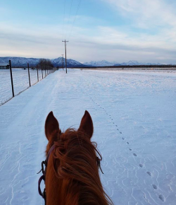 Photo Challenge: 5 Horses & Riders Enjoying the Snow