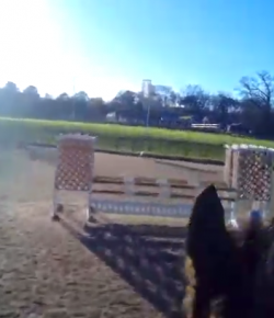 World Equestrian Brands HC: Show Jumping & Sunshine