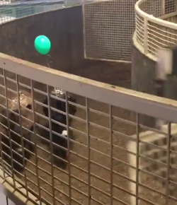 Total Saddle Fit Tuesday Video: Keeping Track