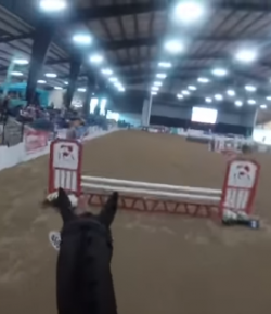 World Equestrian Brands HC: OTTBs for the Win!