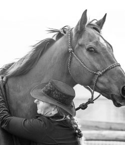 Standing Ovation by Ovation Riding: Horses Without Humans