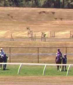 Kentucky Performance Products #OhCrapMonday