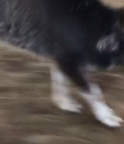 Total Saddle Fit Tuesday Video: Party Crasher