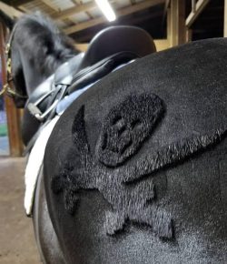 Photo Challenge: Artful Clips