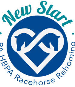 Standing Ovation by Ovation Riding: New Start
