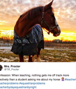 8 #EquestrianProblems According to Twitter